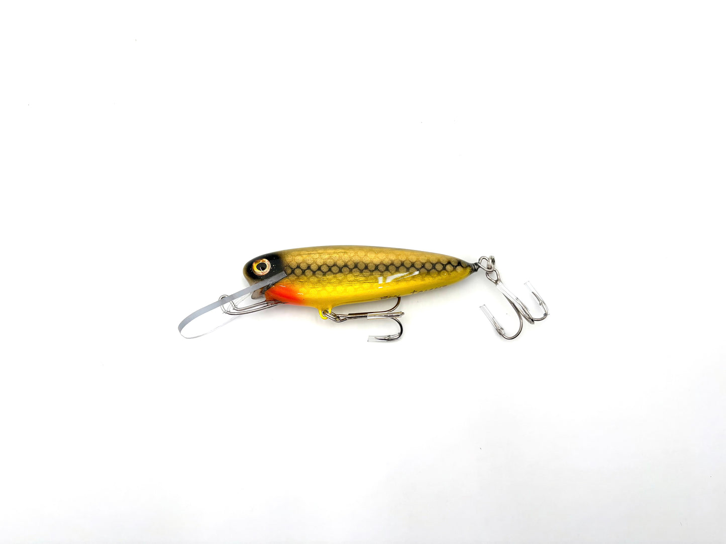 Rippin Minnow