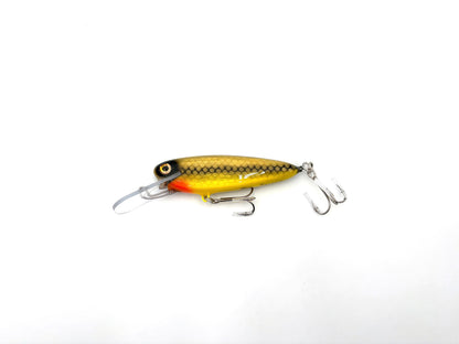 Rippin Minnow