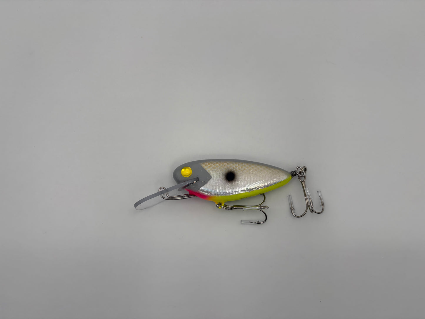 Rippin Shad