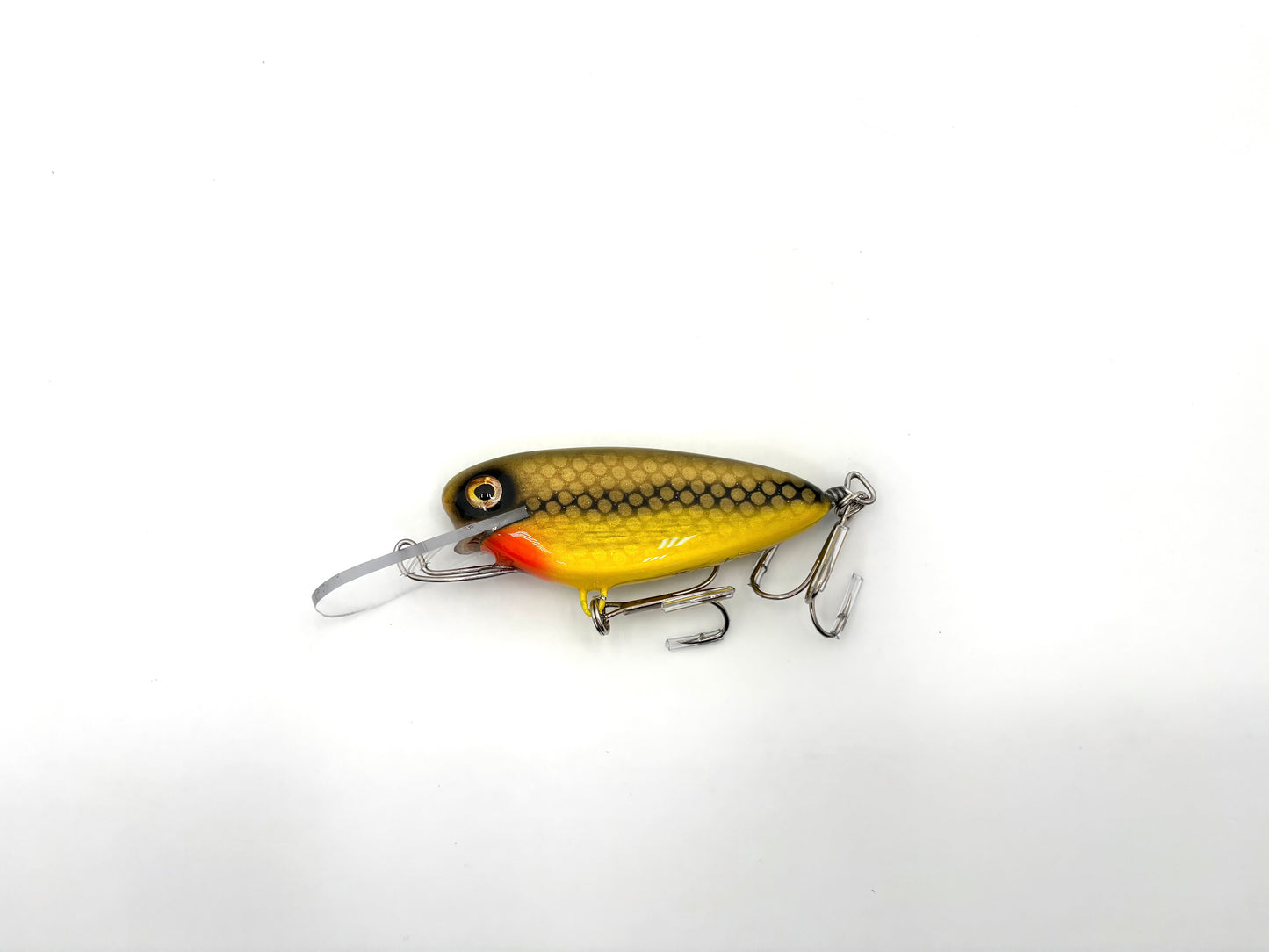 Rippin Shad